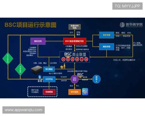 滚球玩球技巧避坑指南 彩票与数字高频玩法防骗